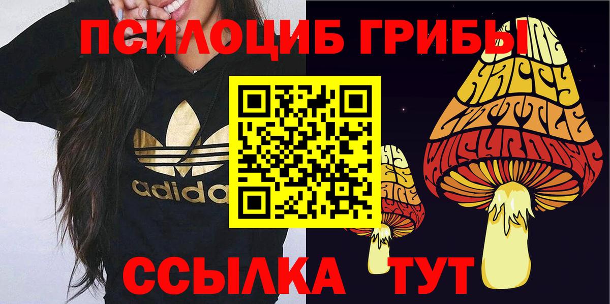 Новосибирск  где можно купить   Вход с VPN  Псилоцибиновые грибы Psilocybe 