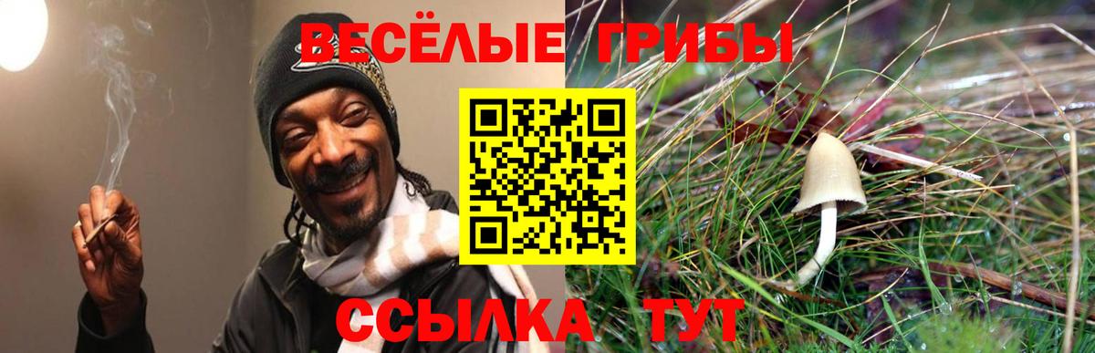 Псилоцибиновые грибы ЛСД Новосибирск