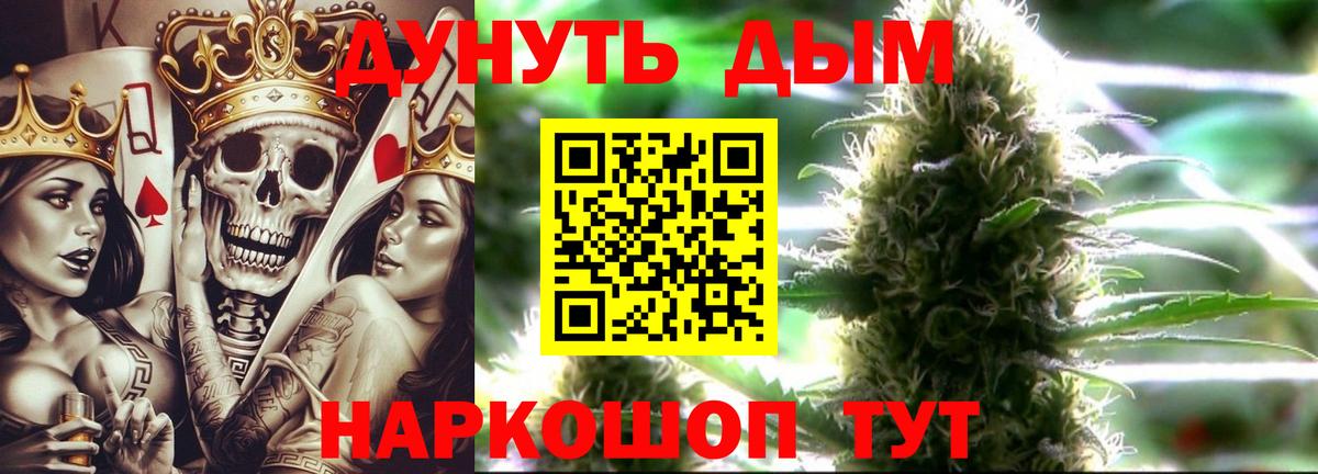 Конопля SATIVA & INDICA Новосибирск